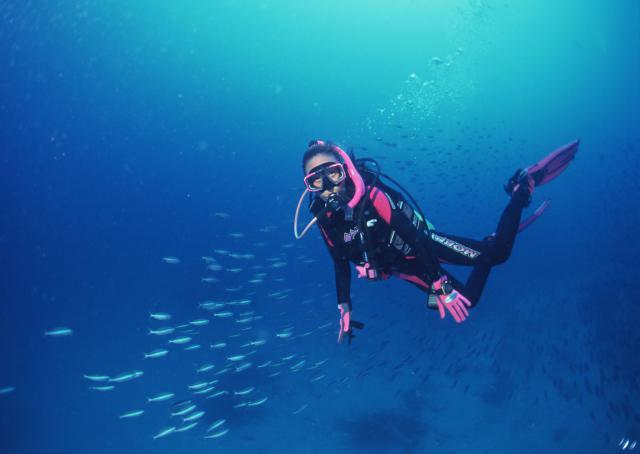 ocean-life-119