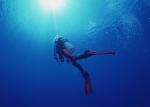 ocean-life-122