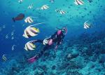 ocean-life-123