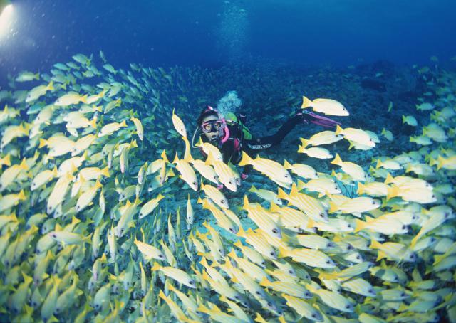 ocean-life-124