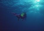 ocean-life-125