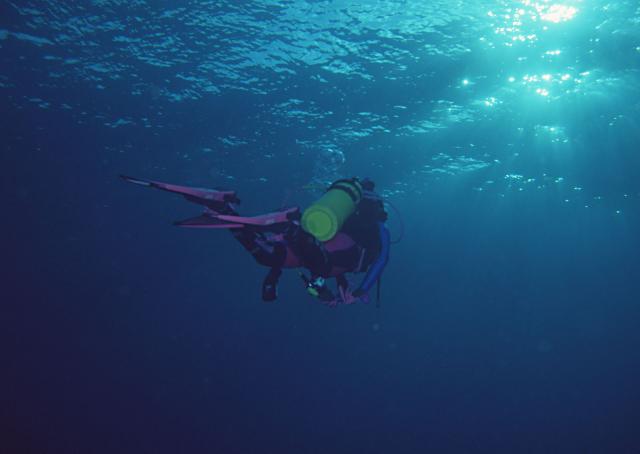 ocean-life-125