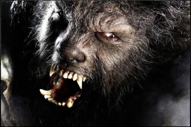 wolfman_03