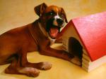 dog_165