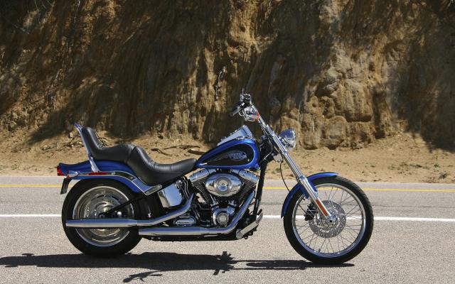 Harley_004