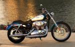Harley_010