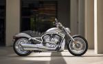 Harley_011