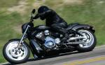 Harley_023