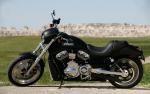 Harley_031