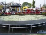 cn_newyear09_005