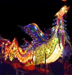 cn_newyear09_039