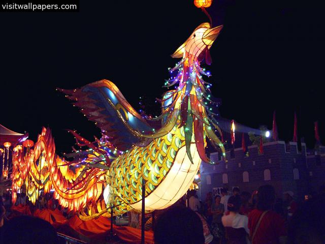 cn_newyear09_051