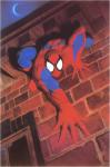 spider-man_35