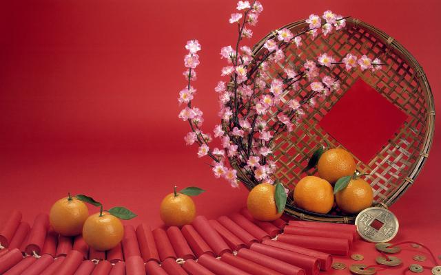cn_newyear09_055
