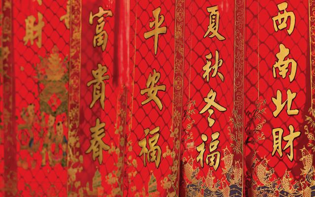 cn_newyear09_086