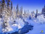 windows_7_052