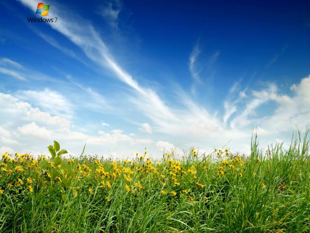 windows_7_063