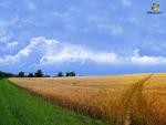 windows_7_073