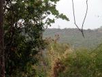 watwaphukaew02