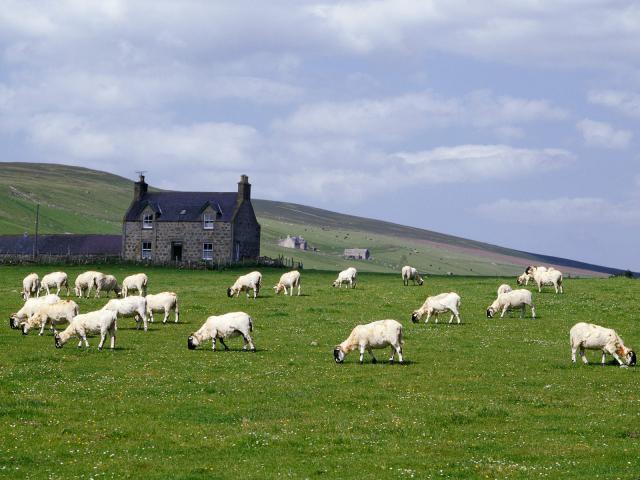 Scotland_014