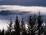 Scotland_018