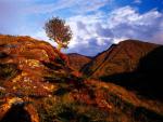 Scotland_026