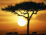 africa_006