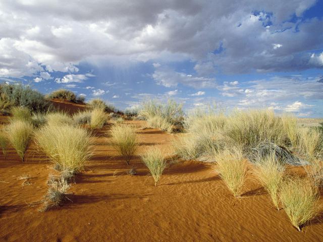 africa_019