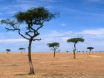 africa_030
