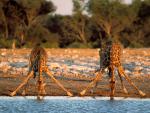 africa_039
