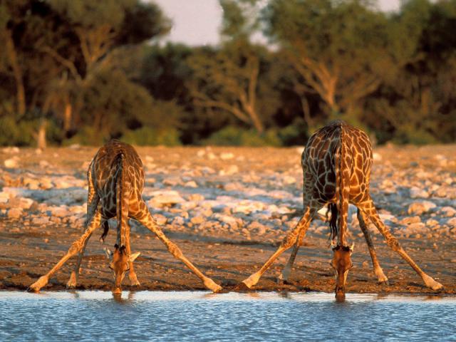 africa_039