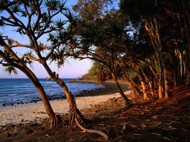 Australia_026