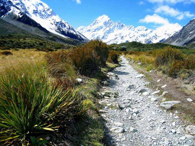 New_Zealand_007