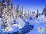 windows_7_101