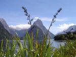 New_Zealand_021