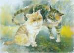 cat_69