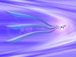 windows_xp_225