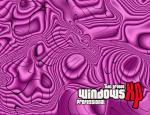windows_xp_231