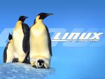 linux_04