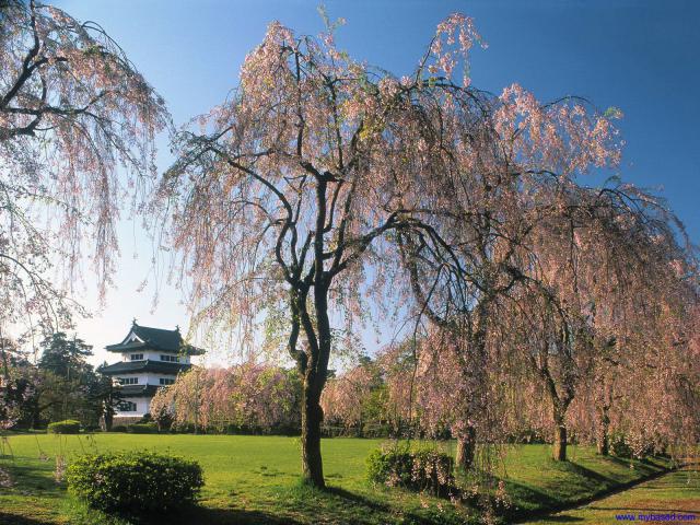 Japan_007