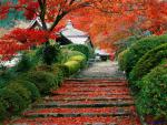 Japan_011