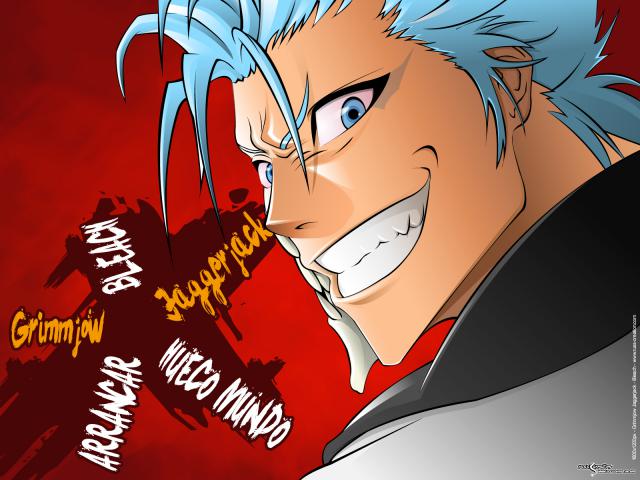 Bleach_053