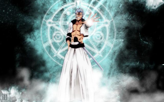 Bleach_055
