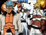 Bleach_072