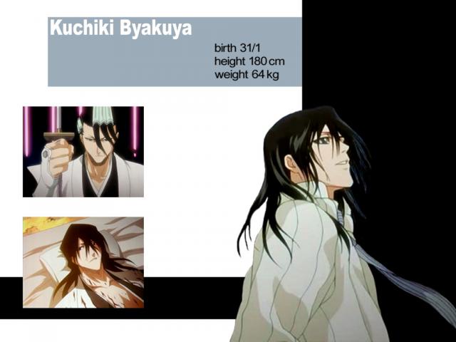 Bleach_111
