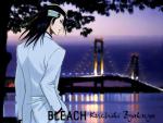 Bleach_116