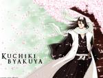 Bleach_129