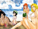 Bleach_205