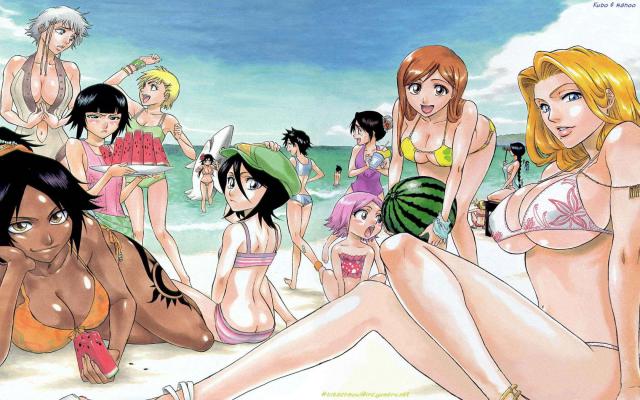 Bleach_208