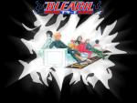 Bleach_212